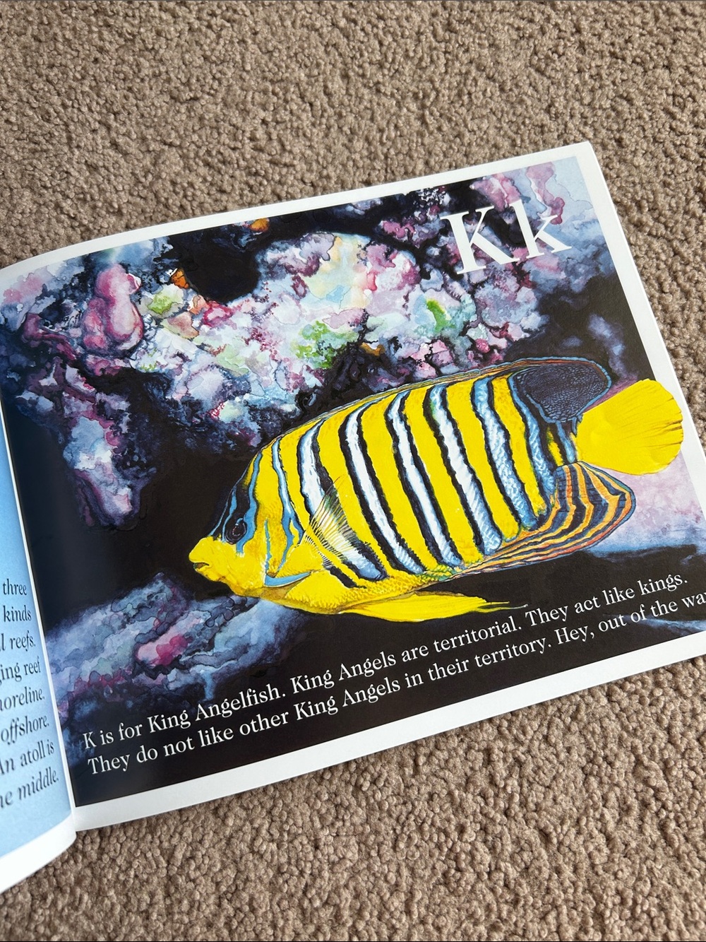Alphabet Book Collection - Picture 8 of 8